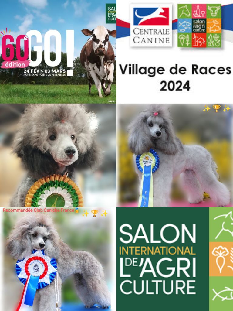 Du Domaine Fleuri De Valdemosa - SALON INTERNATIONAL DE L'AGRICULTURE VILLAGE DES RACES PARIS 2024