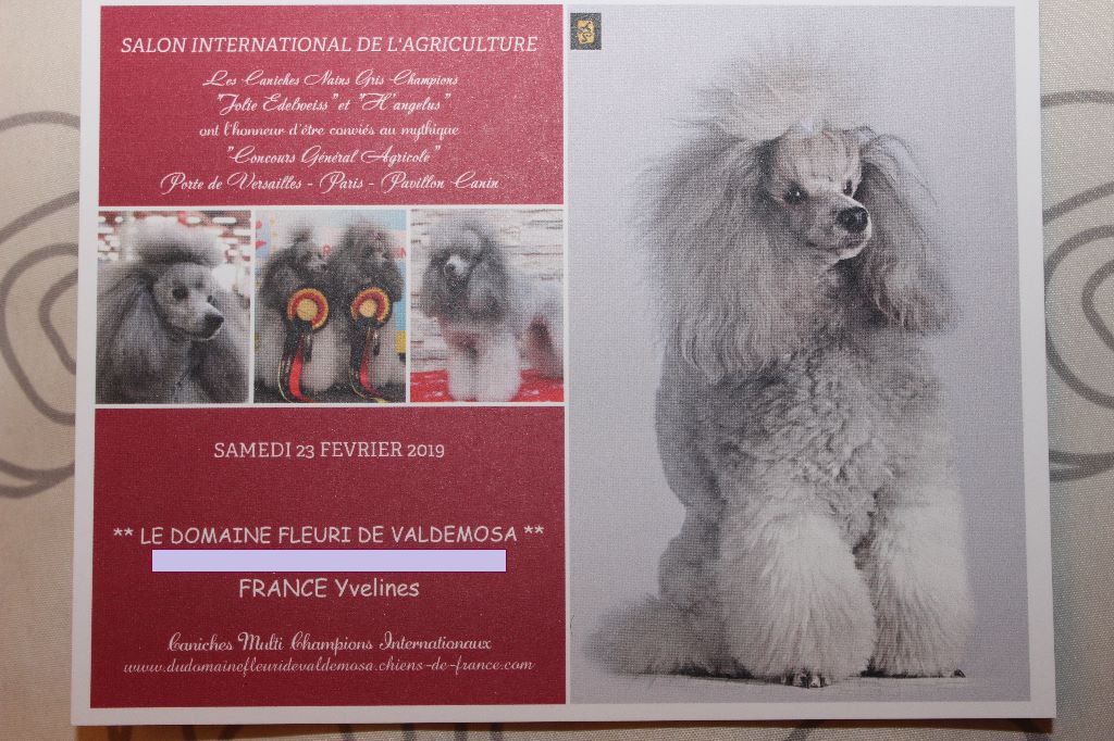 Du Domaine Fleuri De Valdemosa - SALON INTERNATIONAL DE L'AGRICULTURE PARIS 2019