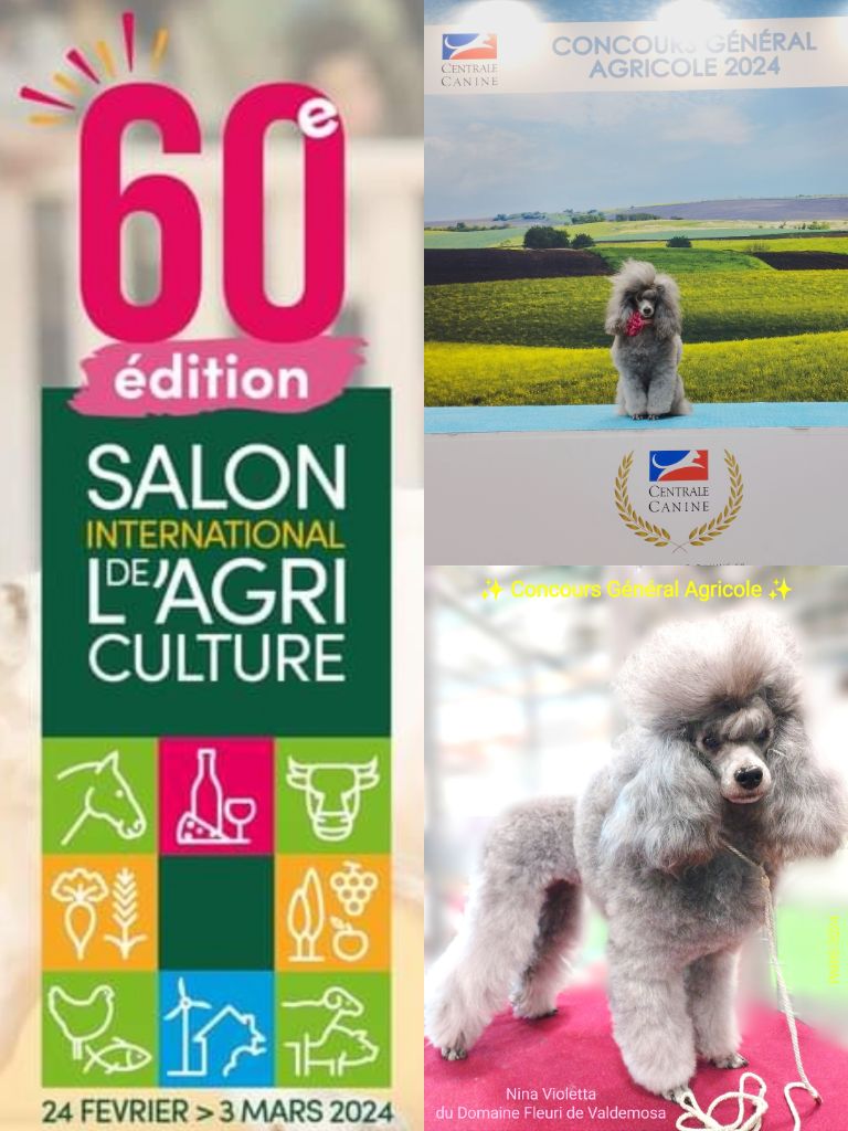 CONCOURS GÉNÉRAL AGRICOLE PARIS 2024