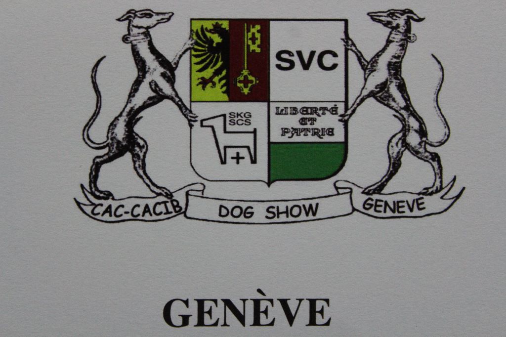 Les Caniches en voyage à Genève